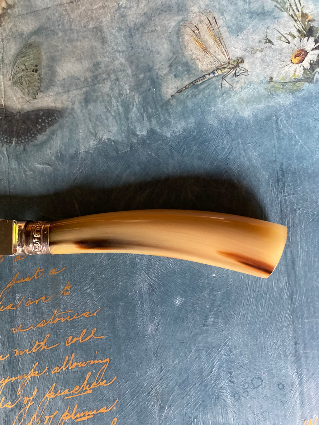 Antique butchering set – genuine horn handles